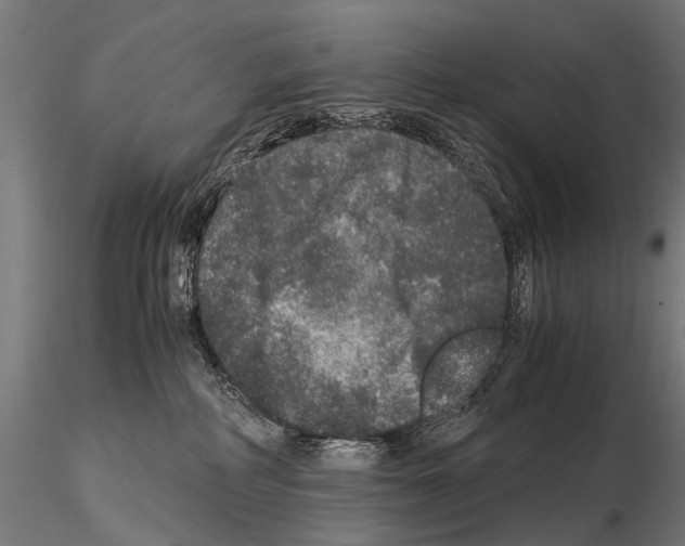 X0000115120234200912081352