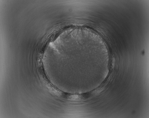 X0000115120237200912081352