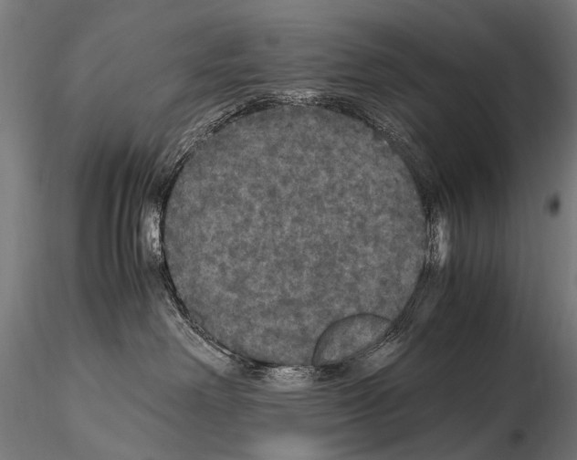 X0000115120238200912081352