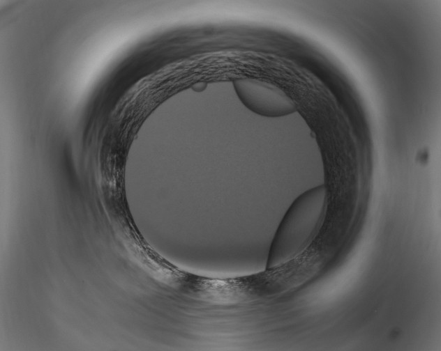 X0000115120239200912081352