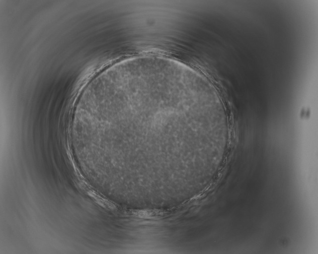 X0000115120241200912081351