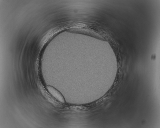 X0000115120242200912081351