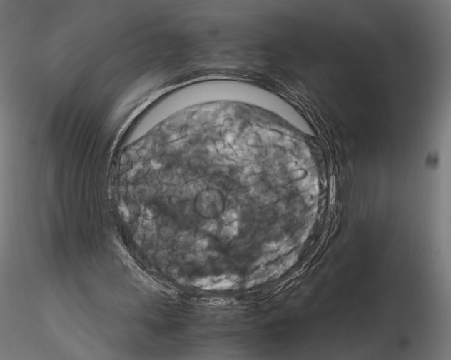 X0000115120243200912081351