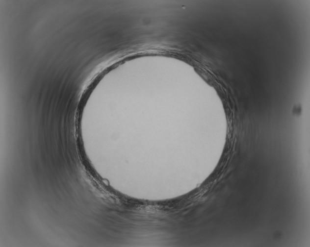 X0000115120244200912081351