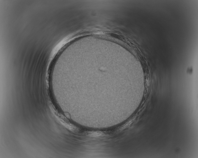 X0000115120246200912081351