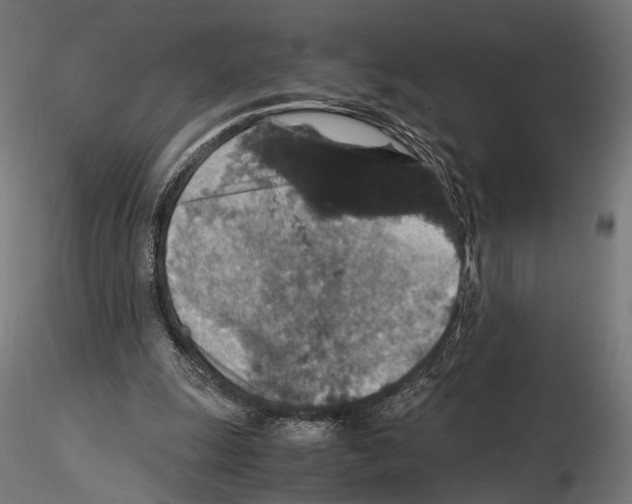 X0000115120247200912081351