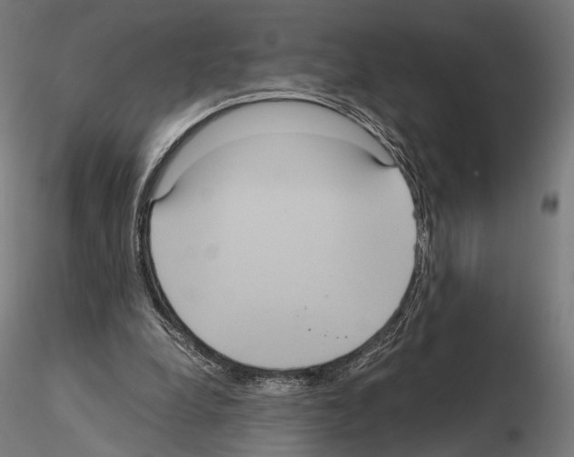 X0000115120248200912081351