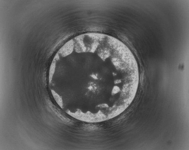 X0000115120249200912081351