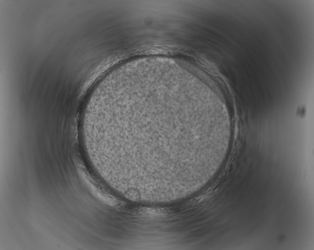 X0000115120250200912081351