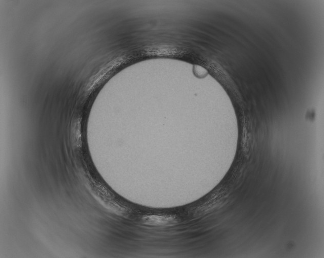 X0000115120251200912081351