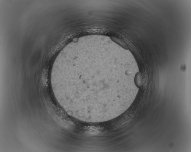 X0000115120255200912081351