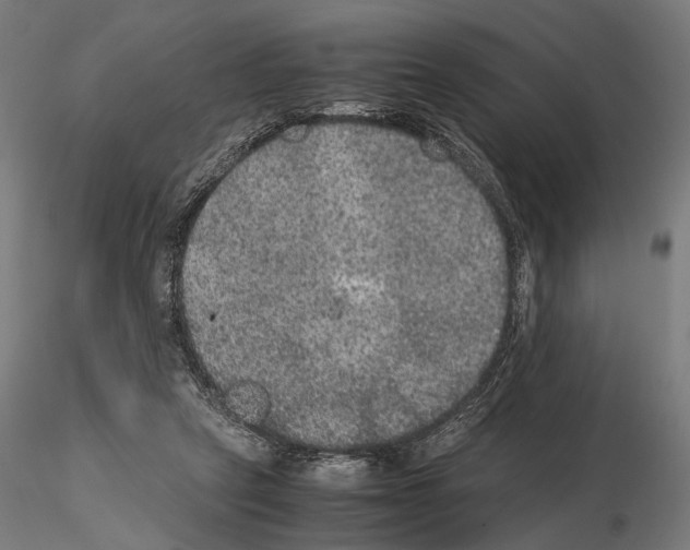 X0000115120257200912081351