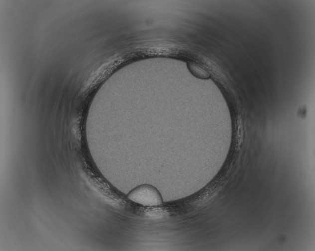 X0000115120258200912081351