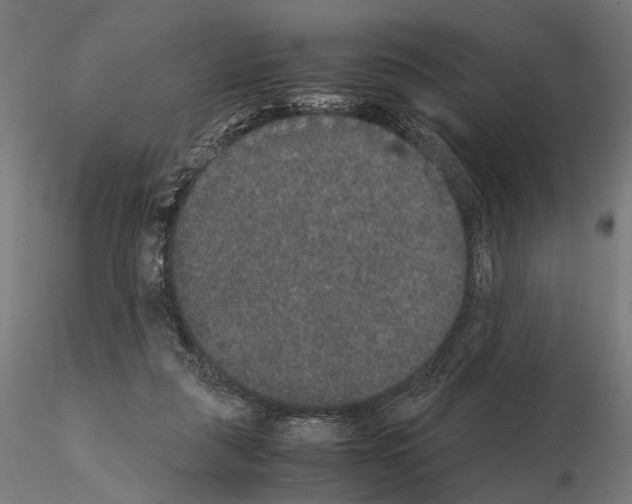 X0000115120259200912081351