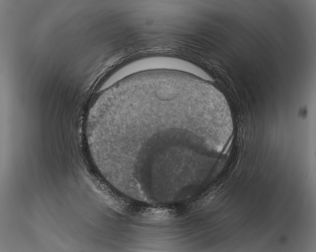 X0000115120260200912081351