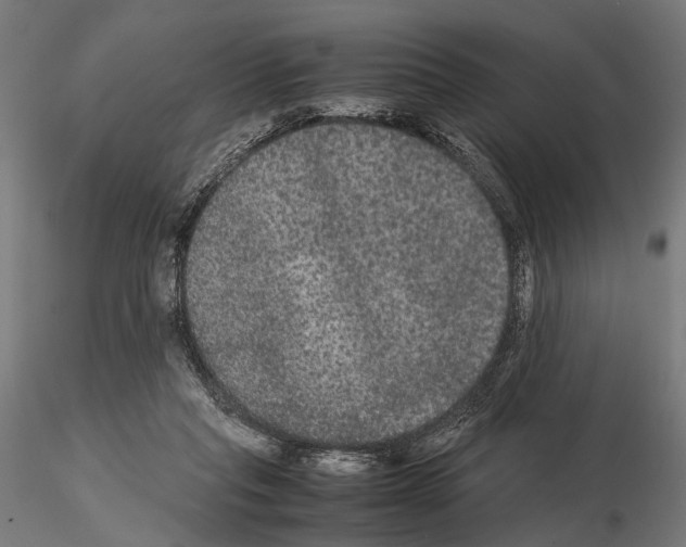 X0000115120261200912081351