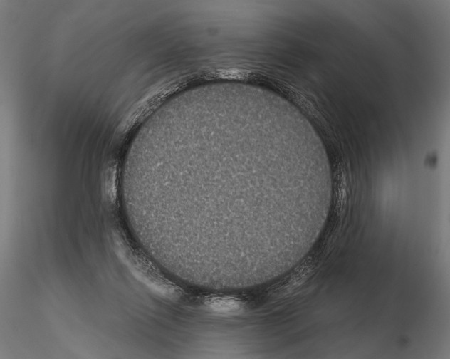 X0000115120262200912081351