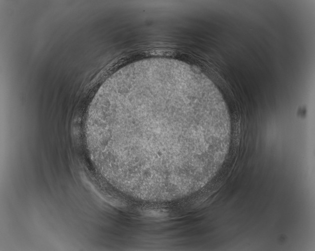 X0000115120263200912081351