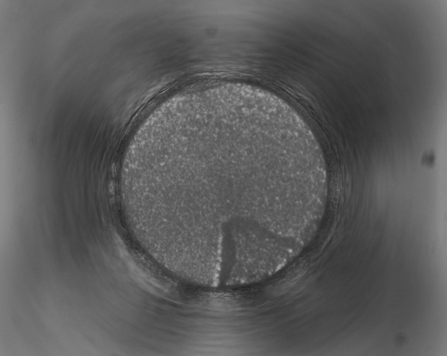 X0000115120264200912081351