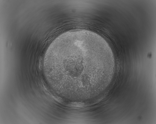 X0000115120266200912081351