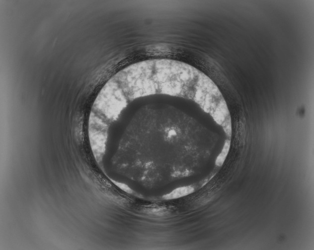 X0000115120267200912081351