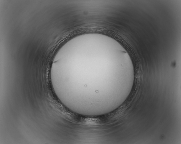 X0000115120268200912081351