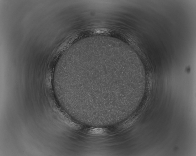 X0000115120269200912081351