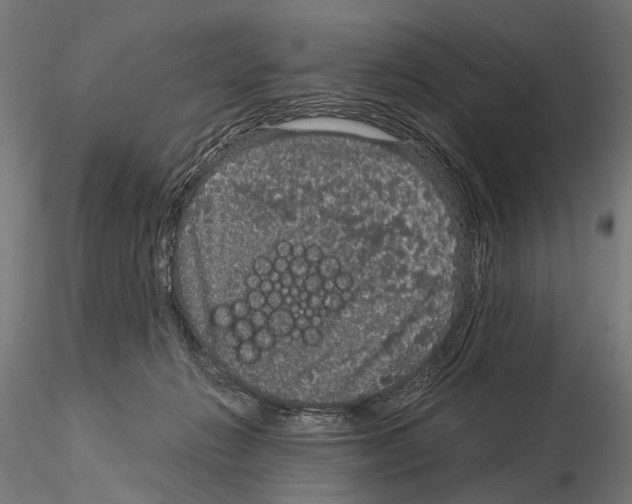 X0000115120270200912081351