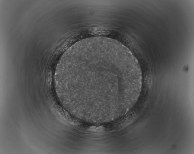 X0000115120271200912081351