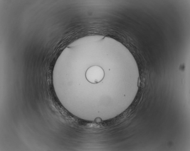 X0000115120272200912081351