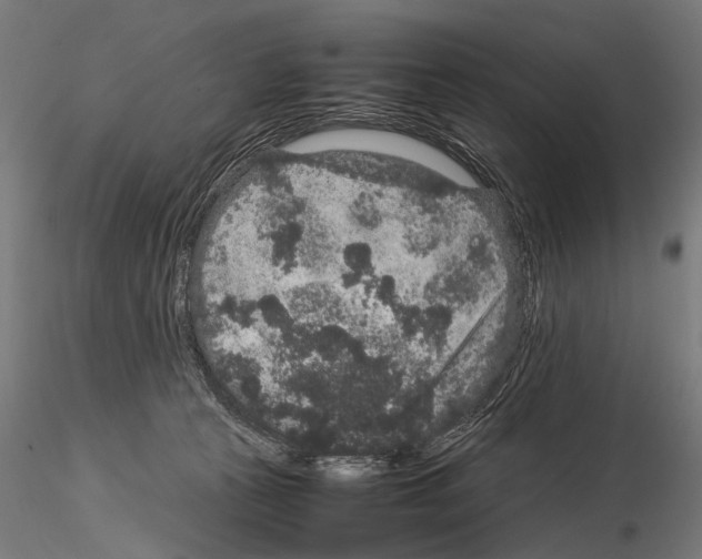 X0000115120273200912081351