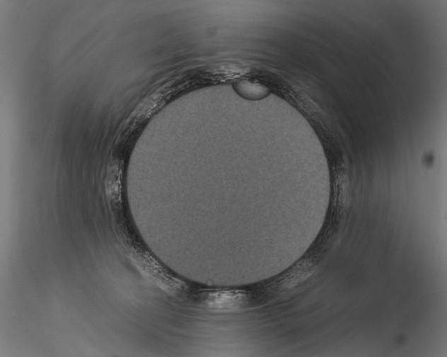 X0000115120274200912081351