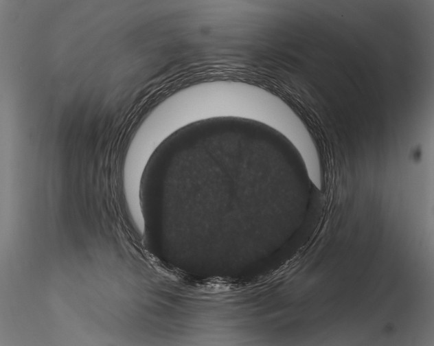 X0000115120276200912081351