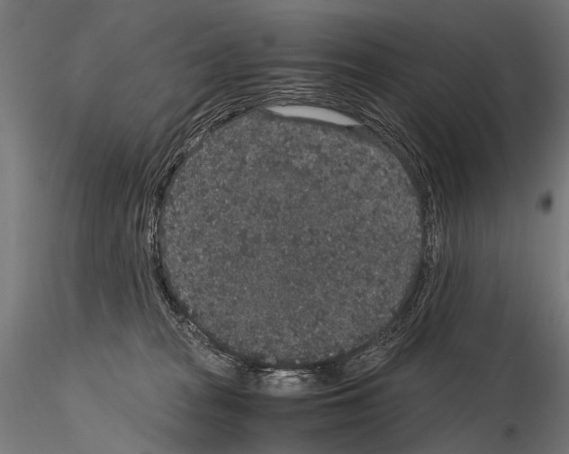 X0000115120277200912081351