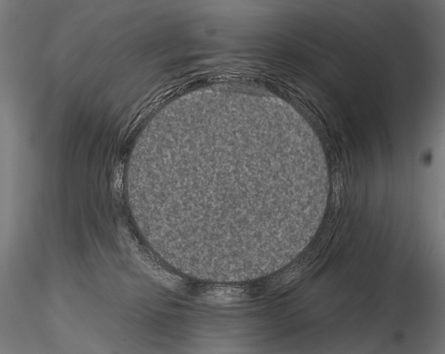 X0000115120278200912081351