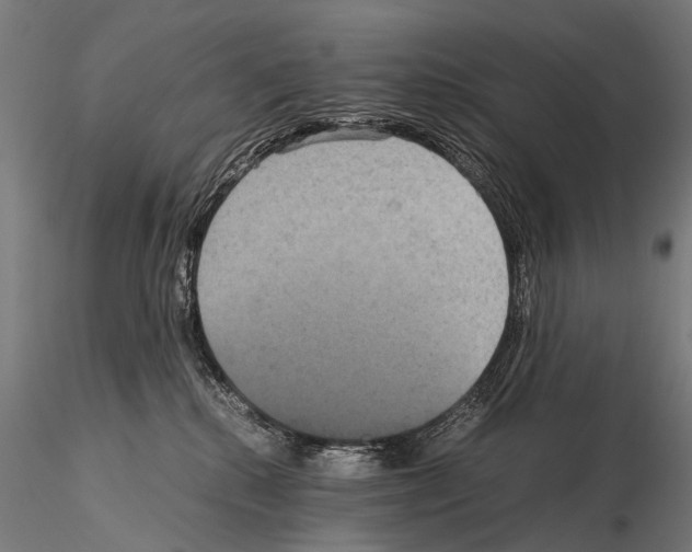 X0000115120280200912081351