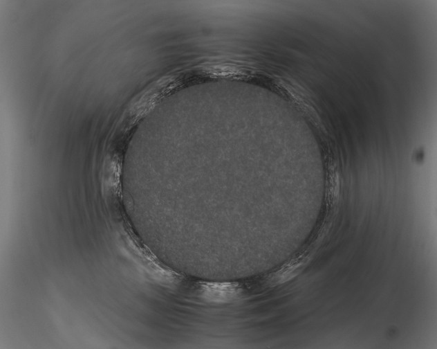 X0000115120281200912081351