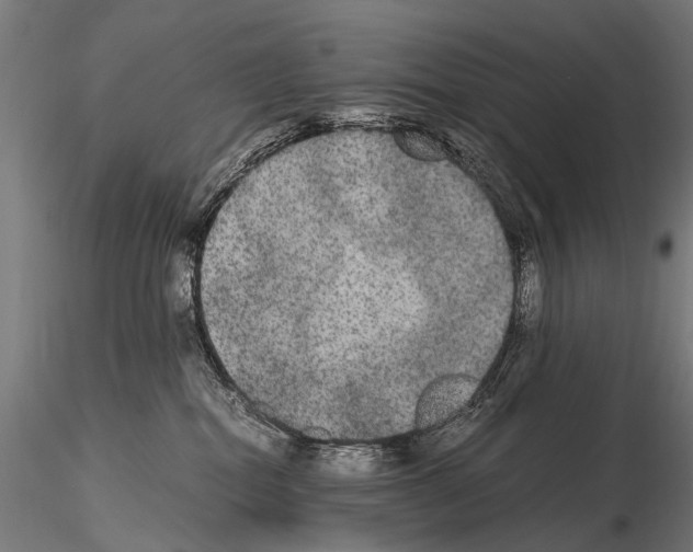 X0000115120282200912081351