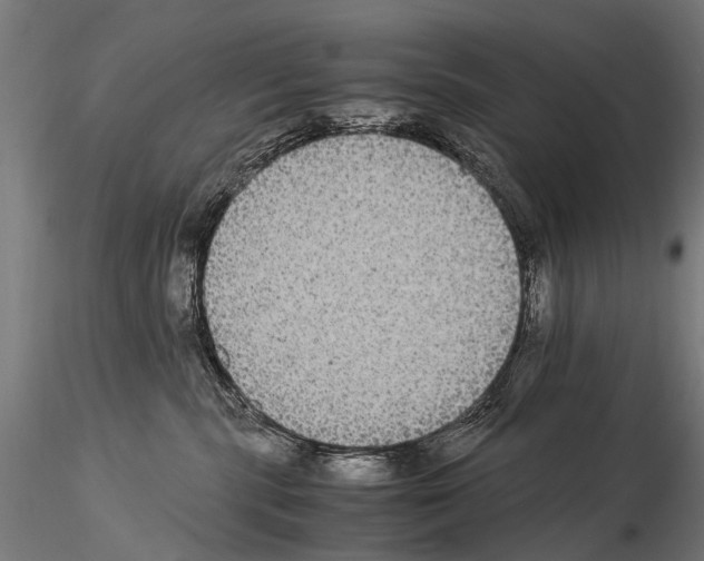 X0000115120283200912081351