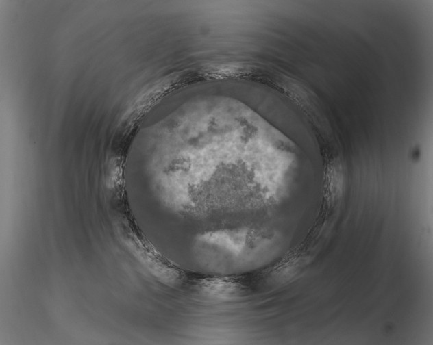 X0000115120284200912081351