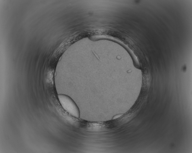 X0000115120286200912081351