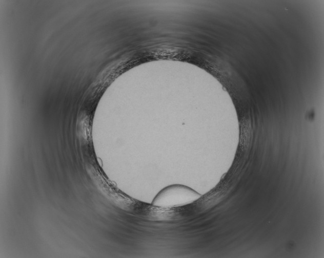 X0000115120287200912081351