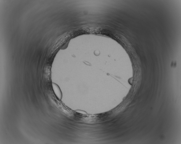 X0000115120288200912081351