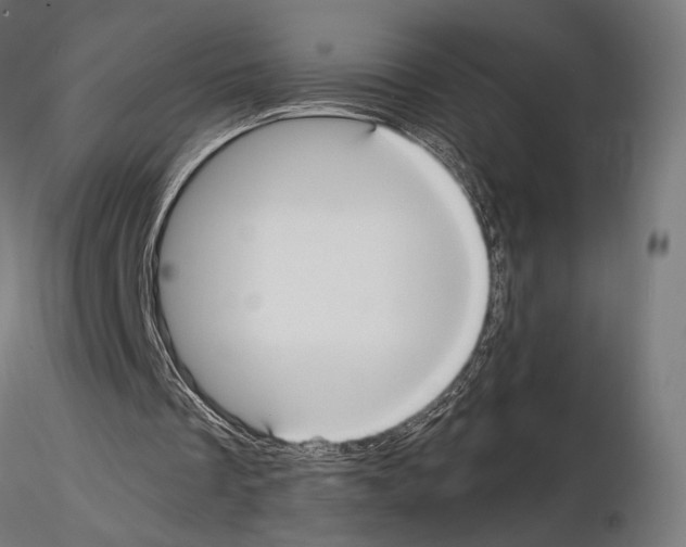 X0000115120289200912081351