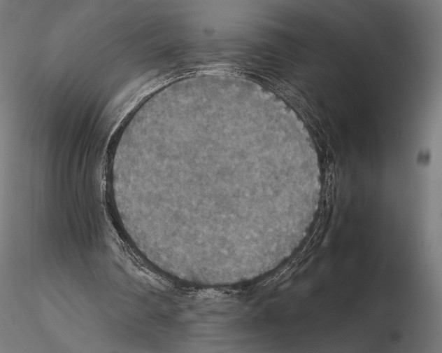 X0000115120290200912081351