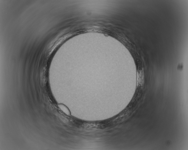 X0000115120291200912081351