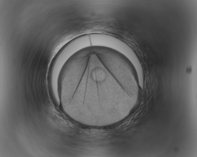 X0000115120292200912081351