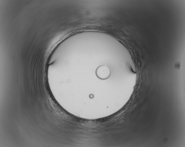 X0000115120293200912081351