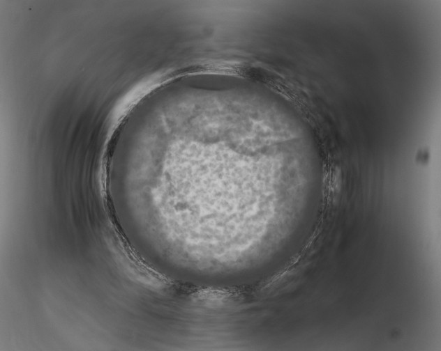 X0000115120294200912081351