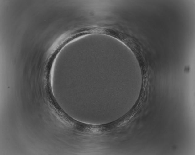 X0000115120295200912081351